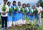 UP News: रक्षाबंधन पर भाई-बहन रोपेंगे पौधे, प्रदेश भर में तैयार होगी रक्षाबंधन वाटिका