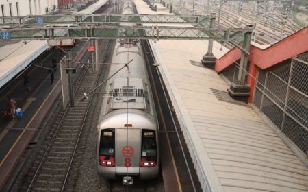 DMRC New Plan: दिल्ली मेट्रो के 13 स्टेशनों पर बनेंगे नए FOB, बिना टिकट आसानी से सड़क पार कर सकेंगे पैदल यात्री
