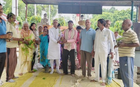 Hardoi: शहीद उद्यान में जड़ी-बूटी दिवस धूमधाम से मनाया, आचार्य बालकृष्ण के जन्मदिवस पर योग, पौधरोपण और औषधीय पौधों का वितरण