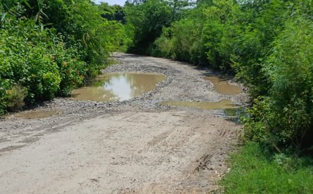 Sandila Road Issue: संडीला में जर्जर सड़क से बढ़ी ग्रामीणों की परेशानी, आलमपुर-खखरा मार्ग पर हादसों का खतरा