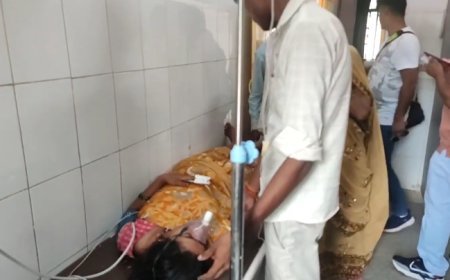 चार संडे, चार स्नेक अटैक! सम्भल में एक ही परिवार के पीछे पड़ा सांप, एक की मौत से दहशत