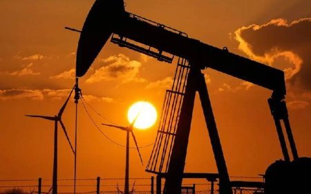 Windfall Tax Cut: भारत सरकार ने फ्यूल एक्सपोर्ट पर घटाया विंडफॉल टैक्स, पेट्रोल पर स्पेशल ड्यूटी शून्य हुई