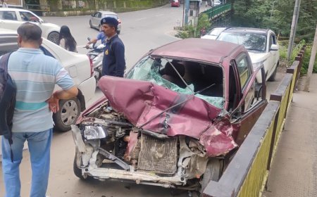 Shimla Accident News: शिमला में सड़क हादसे का शिकार हुई पुलिसकर्मियों की कार, दर्दनाक टक्कर में दो जवानों ने गंवाई जान