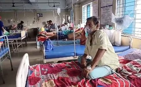 Ghaziabad Swine Flu Alert: गाजियाबाद में स्वाइन फ्लू का बढ़ा खतरा, स्वास्थ्य विभाग ने जारी की एडवाइजरी