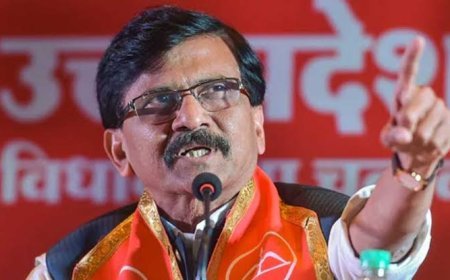 Sanjay Raut on Political Remarks: 'कभी कॉकरोच बोलते हो, कभी दिमागी नक्सल...', संजय राउत का विरोधियों पर तीखा हमला