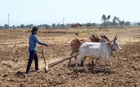 UP Consolidation News: चकबंदी में बेवजह योजना निरस्त करने पर रोक, आयुक्त ने जारी किए सख्त दिशा-निर्देश