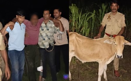 Deoband: देवबंद में पुलिस और गोकशों के बीच मुठभेड़, एक आरोपी घायल