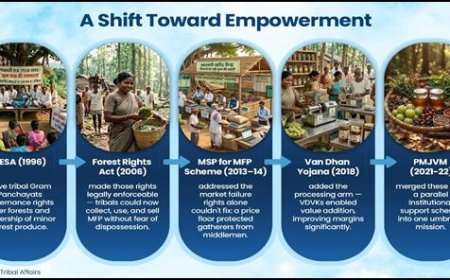 Van Dhan Vikas Kendra: जनजातीय वन अर्थव्यवस्था को नई दिशा, लघु वन उपज से आदिवासियों के लिए आय के खुले नए रास्ते