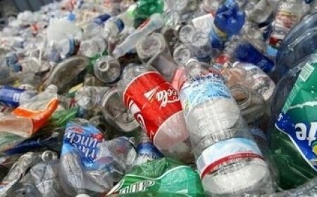 Plastic Waste Business: ₹13 किलो के प्लास्टिक कचरे से खड़ा किया कारोबार, हर महीने ₹40 लाख की बिक्री का दावा