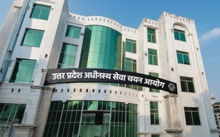 यूपीएसएसएससी कनिष्ठ सहायक भर्ती का अंतिम परिणाम घोषित, 50 अभ्यर्थी चयनित, देखें कटऑफ