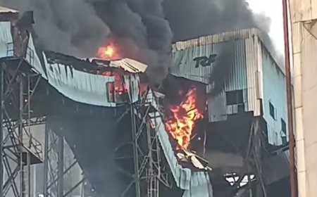 Odisha NTPC Plant Blast: ओडिशा में एनटीपीसी थर्मल पावर प्लांट में भीषण धमाका, 5 मजदूर गंभीर रूप से झुलसे