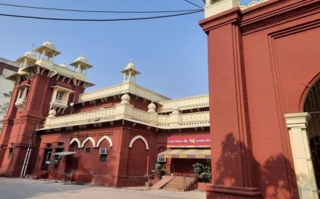 लखनऊ: नकली ओइंटमेंट के अवैध कारोबार में दो आरोपियों की अग्रिम जमानत खारिज, कोर्ट ने माना गंभीर अपराध