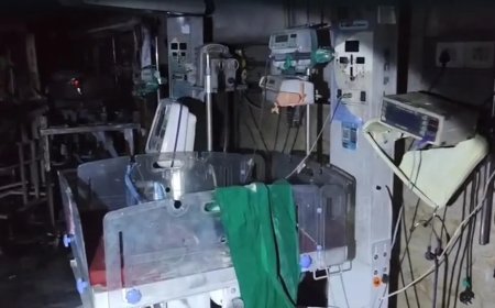 Maharashtra News: अमरावती के सरकारी अस्पताल में लगी भीषण आग, 3 नवजात बच्चों की दर्दनाक मौत; जांच के आदेश