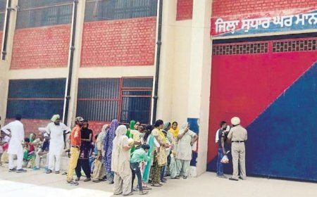 Punjab Jail Drug Menace: मानसा जेल में 69% कैदी नशे की चपेट में, हाईकोर्ट ने सभी जेलों का मांगा ब्योरा