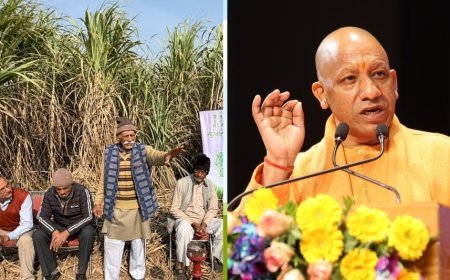 यूपी बना सर्वाधिक गन्ना मूल्य भुगतान वाला राज्य: किसानों को मिले 3.25 लाख करोड़, चीनी और एथेनॉल उत्पादन में भी नंबर वन