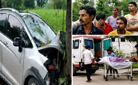 Sitapur: नैमिष कल्ली मार्ग पर भीषण सड़क हादसा, दो की दर्दनाक मौत, दो गंभीर घायल 