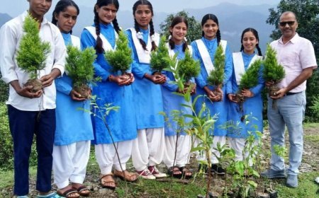 UP News: रक्षाबंधन पर भाई-बहन रोपेंगे पौधे, प्रदेश भर में तैयार होगी रक्षाबंधन वाटिका