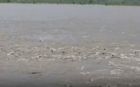 Nepal Tibet Flash Flood Impact UP: नेपाल में आई तबाही के बाद गंडक नदी में बहकर यूपी पहुंचीं 6 लाशें, महराजगंज और कुशीनगर में हड़कंप