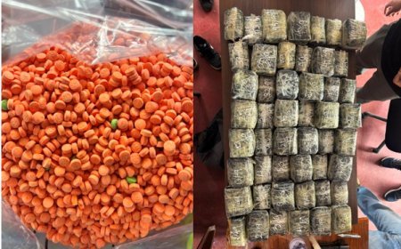 Crime News: पूर्वोत्तर सीमा पर DRI की बड़ी कार्रवाई, दो अभियानों में 76 किलो मेथम्फेटामाइन की गोलियां जब्त; दो गिरफ्तार