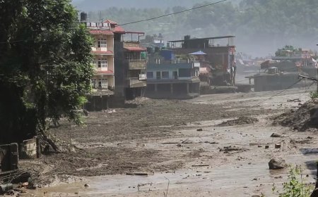 Nepal Flood Disaster: नेपाल में कुदरत का कहर, चितवन और नवलपरासी में भारी तबाही; भारत ने भेजी 11 टन राहत सामग्री