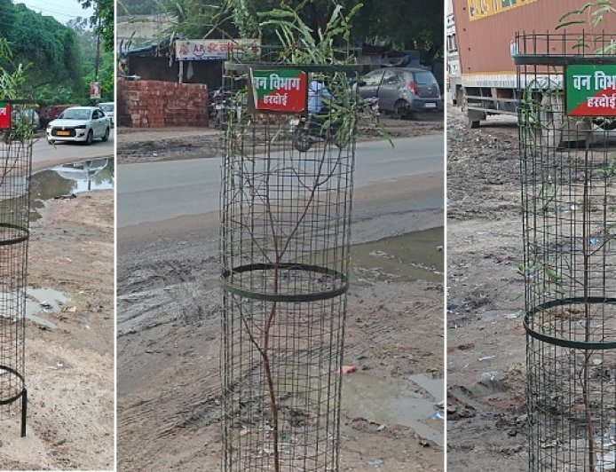 Hardoi: हरदोई के इमली रोड की फिर लौटेगी पहचान, रेलवेगंज-सांडी चुंगी मार्ग पर लगाए गए 102 इमली के पौधे