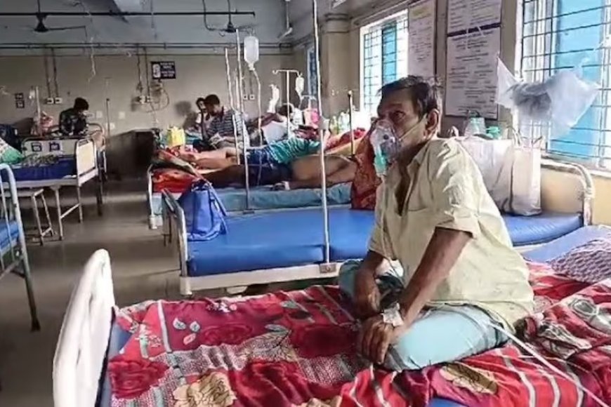 Ghaziabad Swine Flu Alert: गाजियाबाद में स्वाइन फ्लू का बढ़ा खतरा, स्वास्थ्य विभाग ने जारी की एडवाइजरी