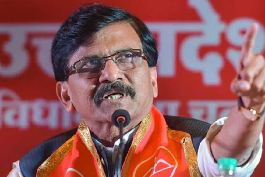 Sanjay Raut on Political Remarks: 'कभी कॉकरोच बोलते हो, कभी दिमागी नक्सल...', संजय राउत का विरोधियों पर तीखा हमला
