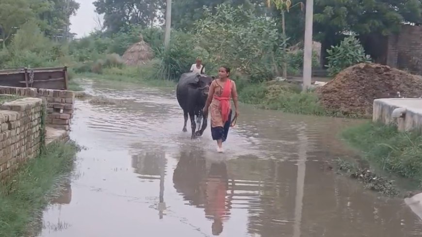 Sambhal: सम्भल में गंगा का कहर! बझांगी गांव में घुसा बाढ़ का पानी, प्रशासन के दावे बहे पानी में