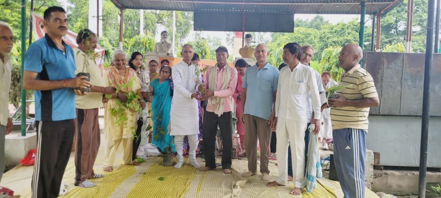 Hardoi: शहीद उद्यान में जड़ी-बूटी दिवस धूमधाम से मनाया, आचार्य बालकृष्ण के जन्मदिवस पर योग, पौधरोपण और औषधीय पौधों का वितरण
