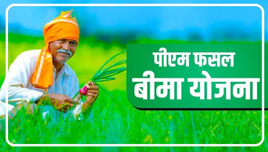 Hardoi: प्रधानमंत्री फसल बीमा योजना की बढ़ी अंतिम तिथि, 31 अगस्त तक ऋणी किसान करा सकेंगे बीमा