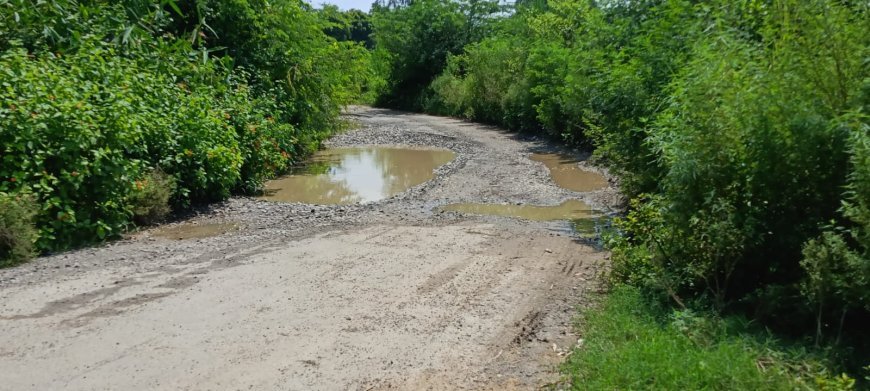Sandila Road Issue: संडीला में जर्जर सड़क से बढ़ी ग्रामीणों की परेशानी, आलमपुर-खखरा मार्ग पर हादसों का खतरा