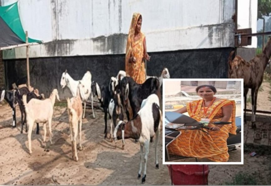Varanasi: घूंघट की चौखट से आत्मनिर्भरता तक: उर्मिला ने बदली अपनी तकदीर, गांव की महिलाओं के लिए बनीं मिसाल