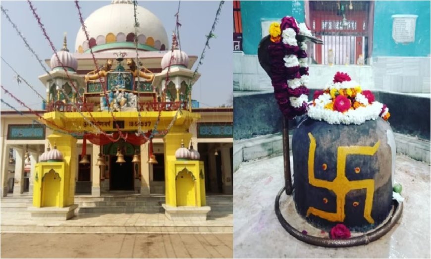 Sawan 2026: हरदोई के इन प्रसिद्ध शिवालयों में उमड़ती है भारी भीड़, जानें सकाहा से लेकर मल्लावां तक के पौराणिक शिव धामों का इतिहास
