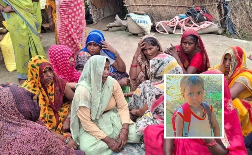 Hardoi: हरपालपुर में सर्पदंश से मासूम की मौत, परिजनों ने CHC डॉक्टर पर लगाए गंभीर आरोप