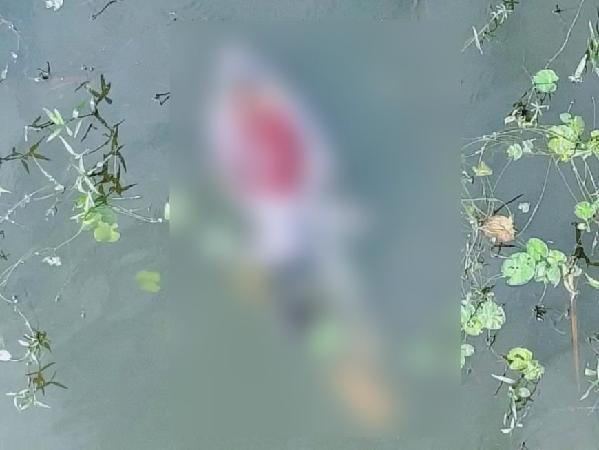 Sitapur News: सीतापुर-हरदोई सीमा पर नदी में मिला संदिग्ध शव, पुलिस शिनाख्त में जुटी