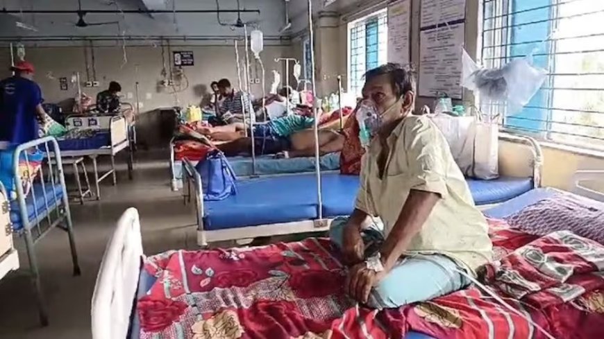 Ghaziabad Swine Flu Alert: गाजियाबाद में स्वाइन फ्लू का बढ़ा खतरा, स्वास्थ्य विभाग ने जारी की एडवाइजरी