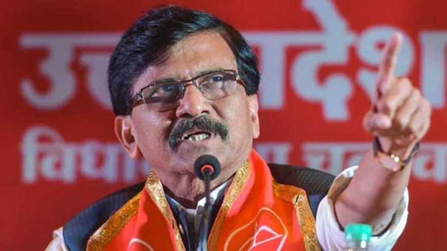 Sanjay Raut on Political Remarks: 'कभी कॉकरोच बोलते हो, कभी दिमागी नक्सल...', संजय राउत का विरोधियों पर तीखा हमला