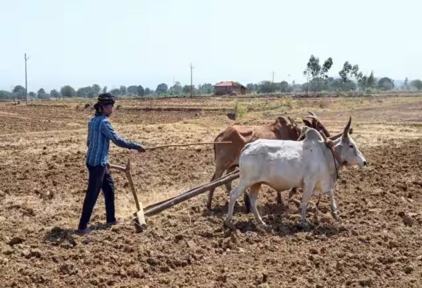 UP Consolidation News: चकबंदी में बेवजह योजना निरस्त करने पर रोक, आयुक्त ने जारी किए सख्त दिशा-निर्देश