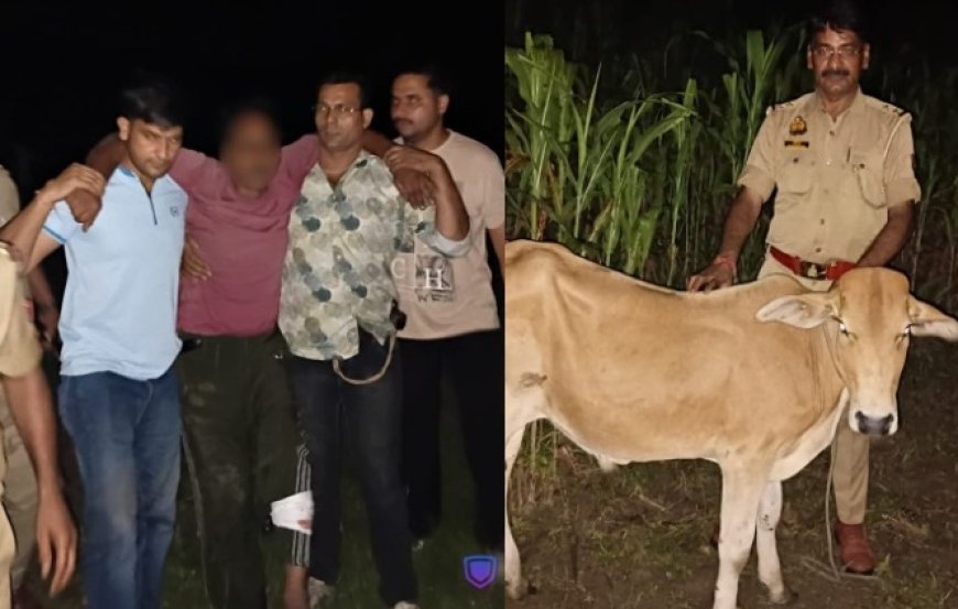 Deoband: देवबंद में पुलिस और गोकशों के बीच मुठभेड़, एक आरोपी घायल