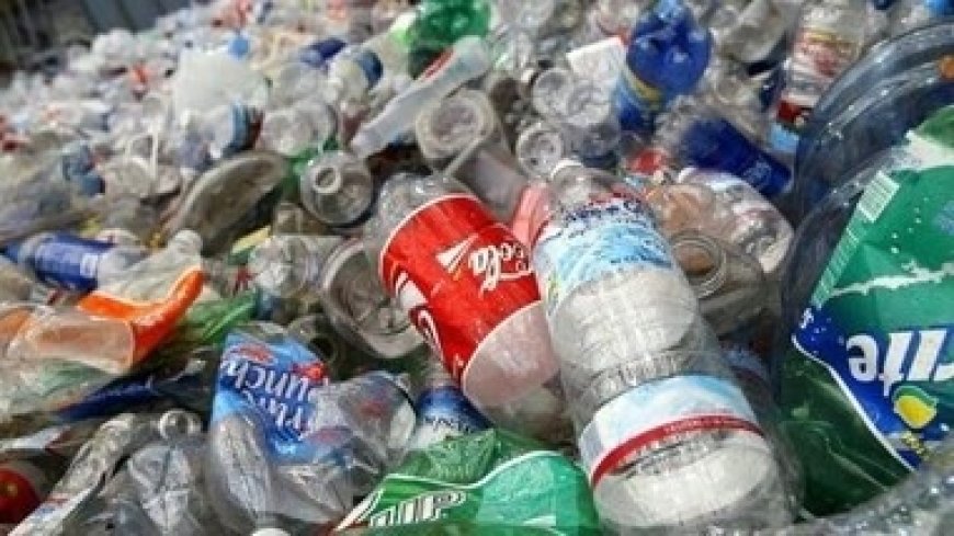 Plastic Waste Business: ₹13 किलो के प्लास्टिक कचरे से खड़ा किया कारोबार, हर महीने ₹40 लाख की बिक्री का दावा