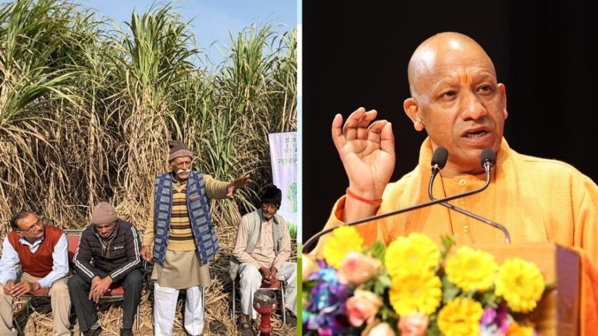 यूपी बना सर्वाधिक गन्ना मूल्य भुगतान वाला राज्य: किसानों को मिले 3.25 लाख करोड़, चीनी और एथेनॉल उत्पादन में भी नंबर वन