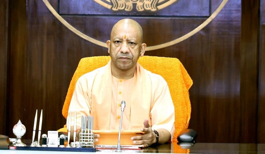 कैबिनेट के बड़े फैसले: 60 वर्ष से अधिक महिलाओं को रोडवेज बसों में मुफ्त यात्रा, वंचित छात्रों को छात्रवृत्ति का रास्ता साफ