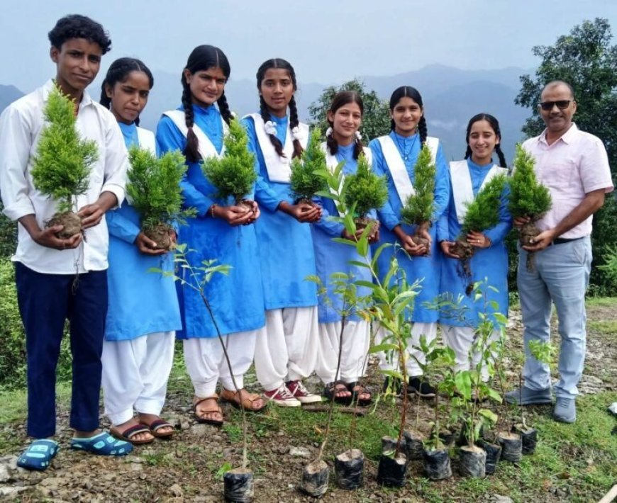 UP News: रक्षाबंधन पर भाई-बहन रोपेंगे पौधे, प्रदेश भर में तैयार होगी रक्षाबंधन वाटिका