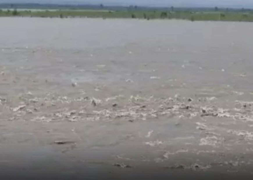 Nepal Tibet Flash Flood Impact UP: नेपाल में आई तबाही के बाद गंडक नदी में बहकर यूपी पहुंचीं 6 लाशें, महराजगंज और कुशीनगर में हड़कंप