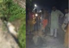 Naimisharanya News: नैमिषारण्य में गहरी नाली में फंसी बेसहारा गाय, गुरुकुल के छात्रों ने 4 घंटे बाद सकुशल निकाला बाहर