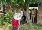 Sambhal News: सम्भल में खेत के पास आम के पेड़ से मिले युवक-युवती के शव, इलाके में मचा हड़कंप; जांच में जुटी पुलिस