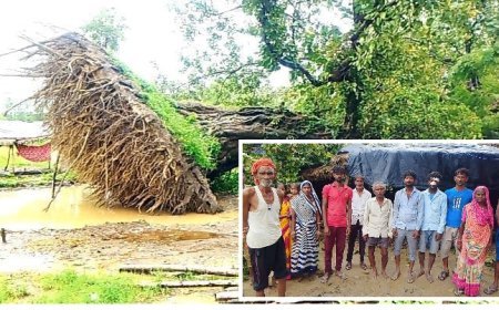 Sitapur News Today: मूसलाधार बारिश में दो घरों पर गिरा विशालकाय बरगद, एक घायल; मकान क्षतिग्रस्त