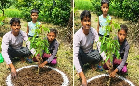 Hardoi News: अंतर्राष्ट्रीय युवा पर्वतारोही अभिनीत मौर्य ने जन्मदिन पर किया वृक्षारोपण, दिया पर्यावरण संरक्षण का संदेश 