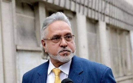 Vijay Mallya Interview: 'क्या मुझे कॉकरोच बन जाना चाहिए', विजय माल्या ने भारतीय एजेंसियों और प्रत्यर्पण पर तोड़ी चुप्पी