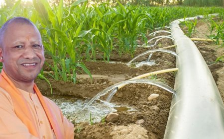 Bundelkhand Water Project: बुंदेलखंड में इजराइली तकनीक से बदलेगी खेती, झांसी के गंगावली में 'वाटर बजटिंग' मॉडल पर काम शुरू